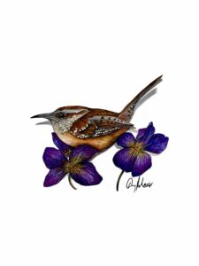 Carolina Wren Violets