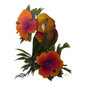 Extreme Magna Double Yellow Head Amazon and Fiesta Hibiscus