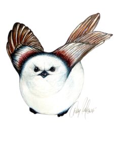 Long-Tailed Tit